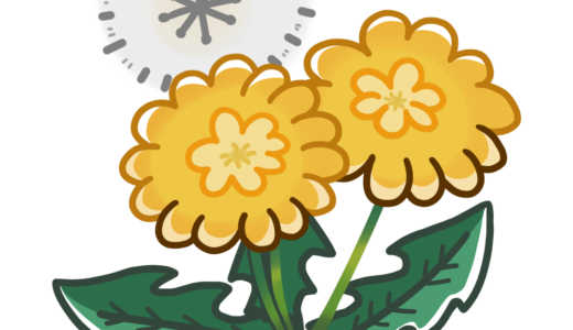 【生活・植物・花・春】たんぽぽとわたげのかわいいフリーイラスト